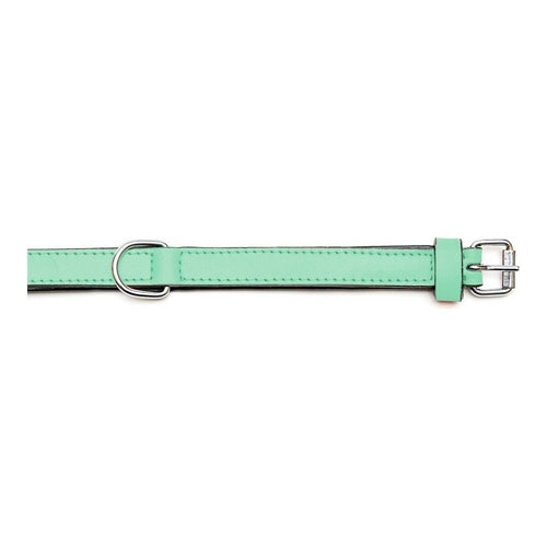 Dog collar Gloria Padded Green (55 x 2,5 cm)